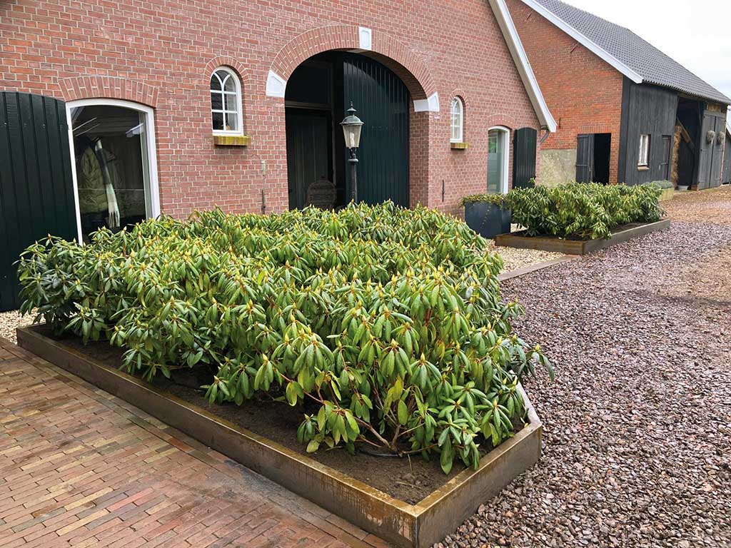 Hovenier breuer border bij boerderij met