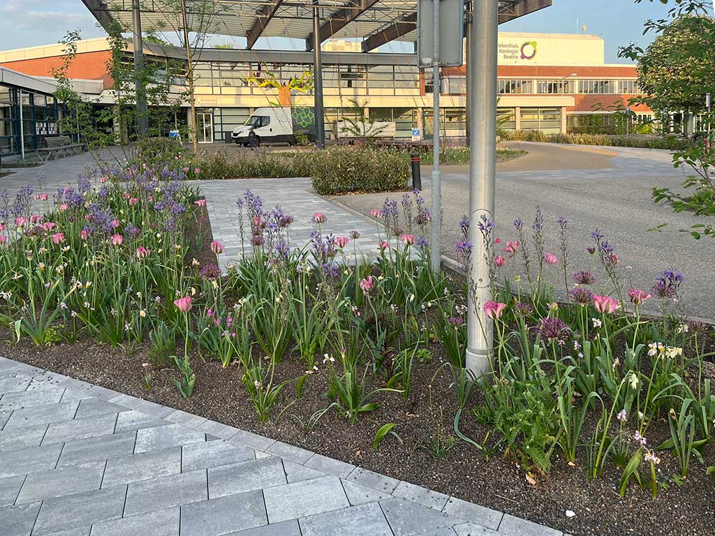 Hovenier breuer SKB groenvoorziening streekziekenhuis Winterswijk