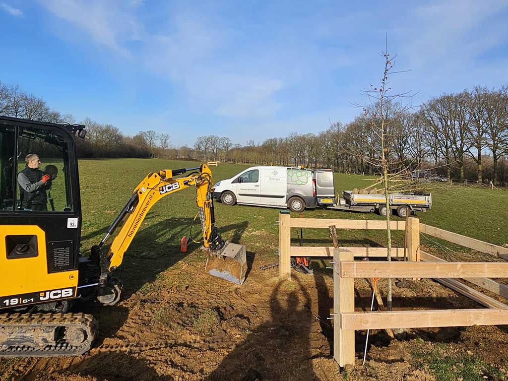 Hovenier breuer bomen